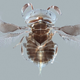 Illustration for article titled See The Wellcome Trusts Best Science Photos Of The Year